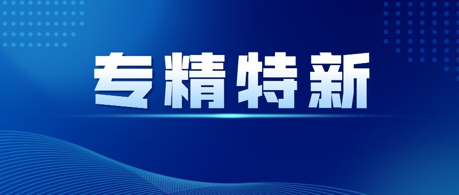 涌鎮(zhèn)液壓榮獲“專精特新”稱號